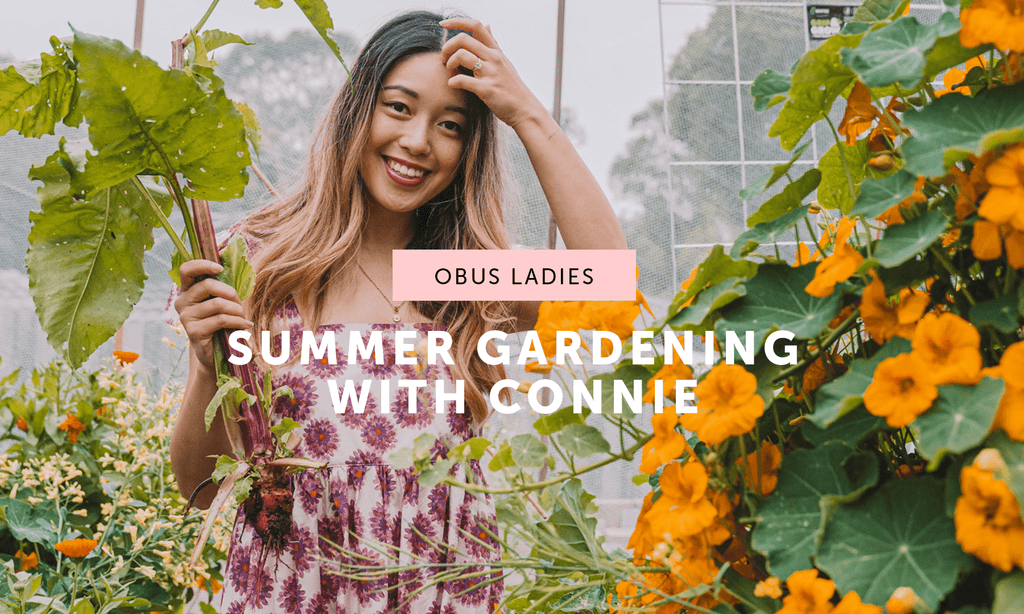15 EASY VEGGIES TO PLANT IN YOUR GARDEN THIS SUMMER - Obus Online