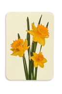 Posy of Daffodils Greeting Card