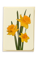 Posy of Daffodils Greeting Card
