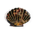 Tortoise Shell Hair Claw