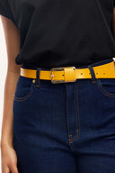 Companion Belt