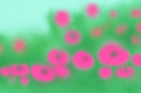 <p>The Travel <em>Club</em></p>