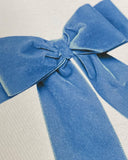 Baby Blue Velvet Bow Greeting Card - Obus Online