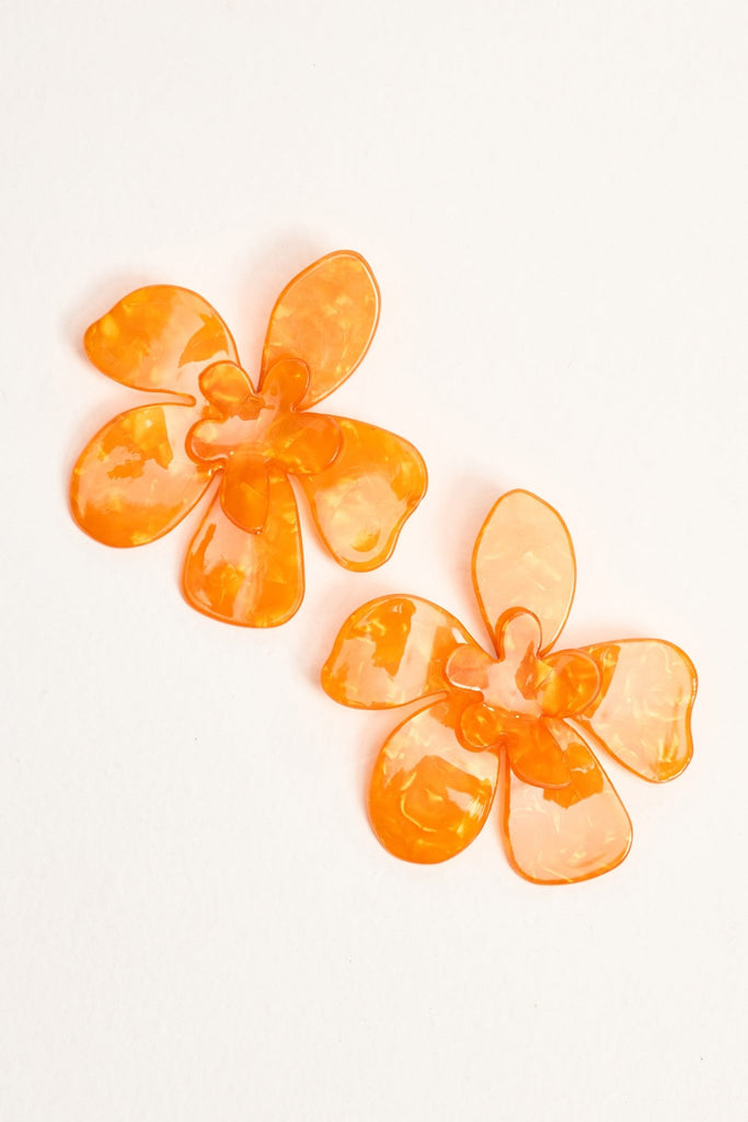 Brighteyes Earring - Obus Online