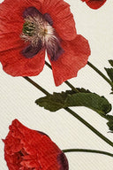 Wild Poppies Greeting Card