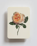 Soft Peach Rose Greeting Card - Obus Online