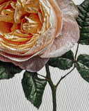 Soft Peach Rose Greeting Card - Obus Online